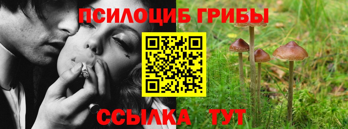 Псилоцибиновые грибы Magic Shrooms Новый Уренгой